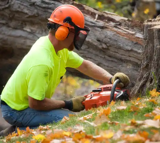 tree services Robbinsville